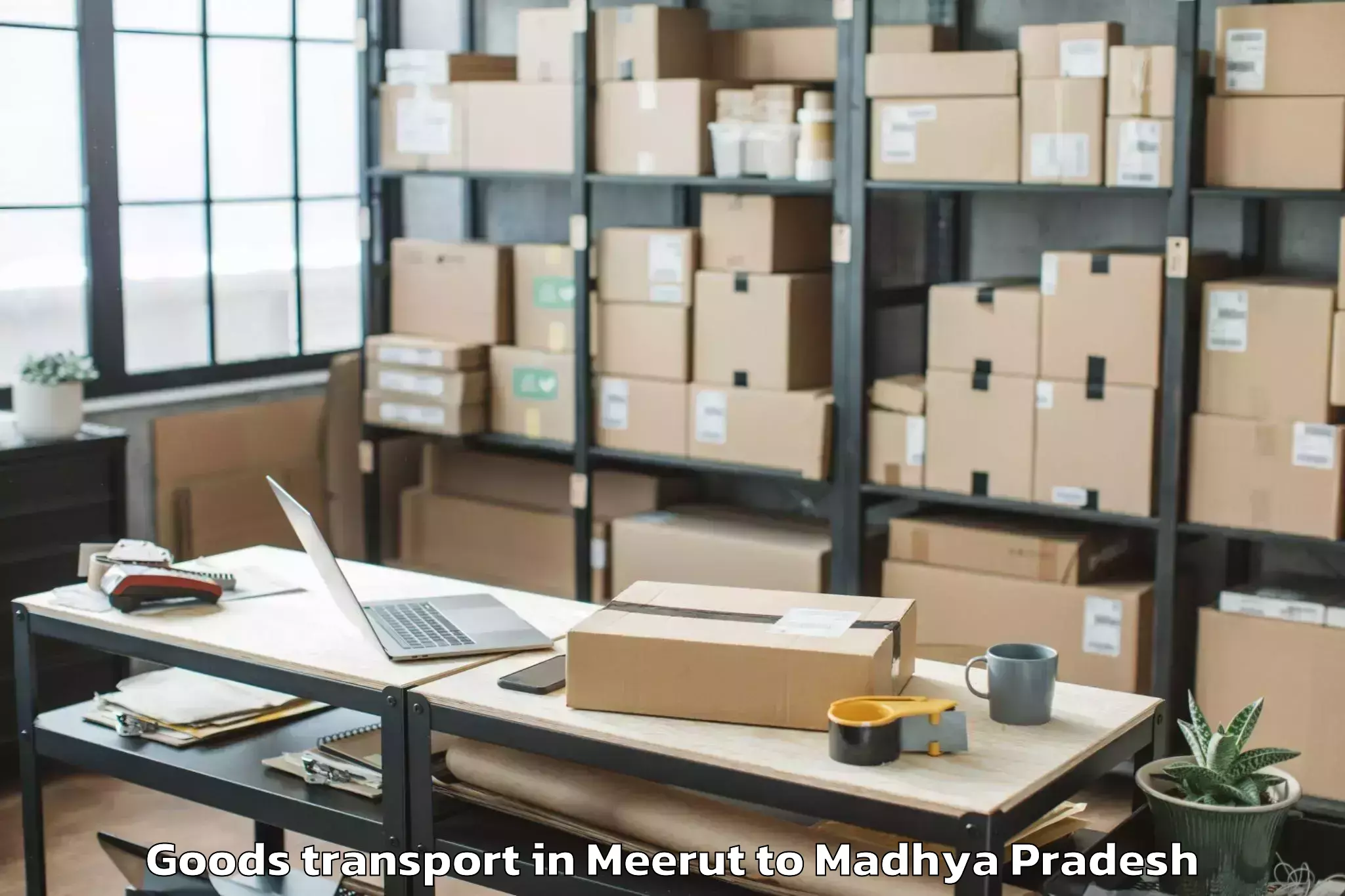 Easy Meerut to Machalpur Goods Transport Booking